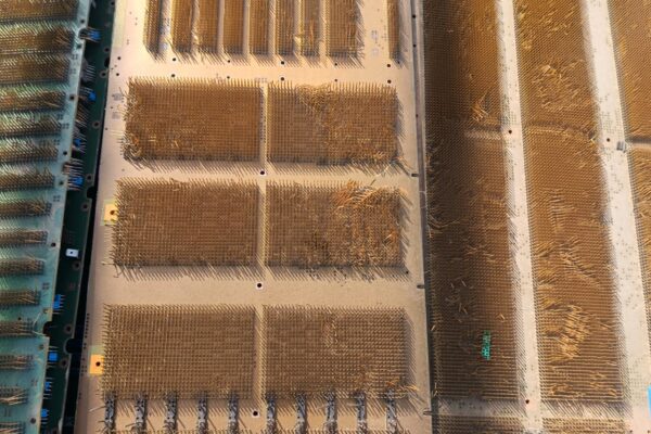 Golden Pin Boards4