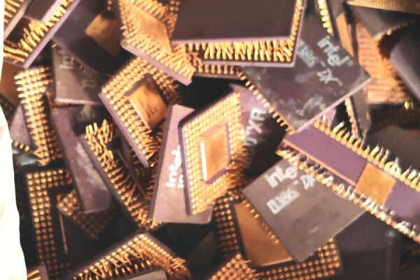 Golden processor3