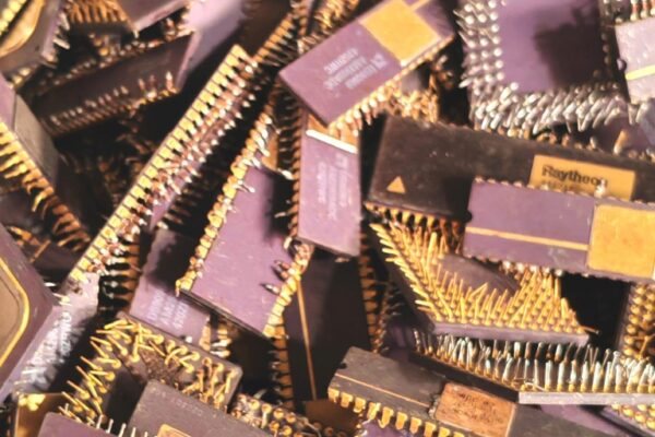 Golden processor7
